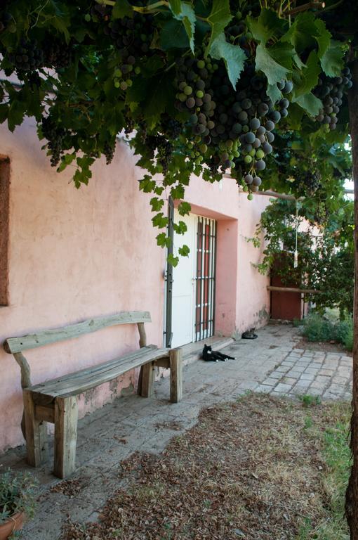 Hosteria Rural Viejo Roble San Rafael  Buitenkant foto